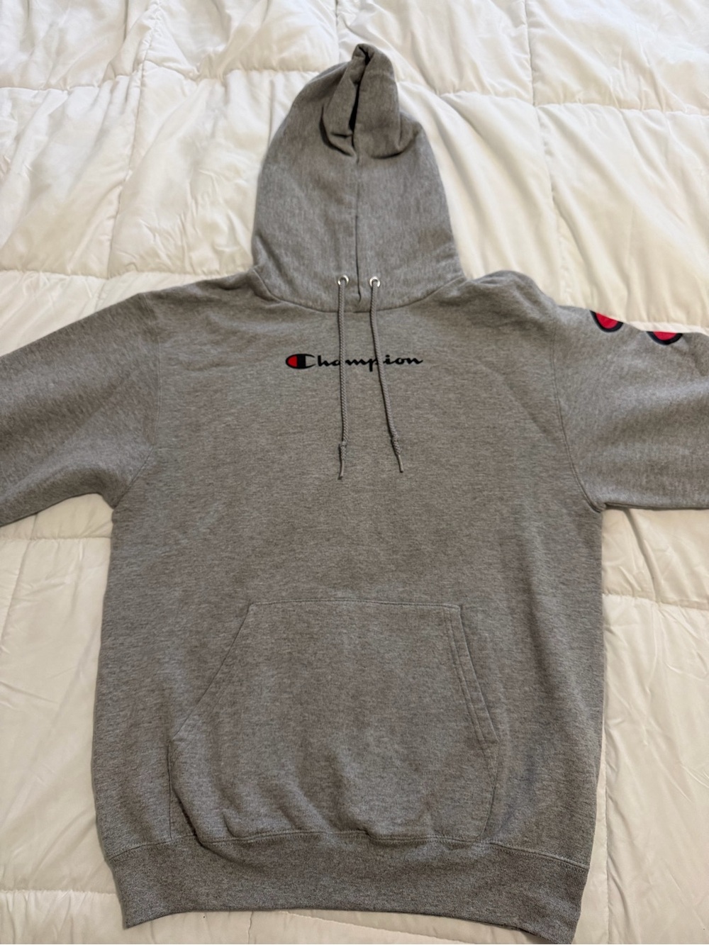 Champion Gray Hoodie